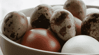 gambar 2 cara sukses berdagang telur